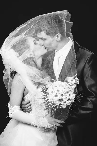 Noiva e noivo beijando sob o véu segurando buquê de flores na mão. fundo preto — Fotografia de Stock