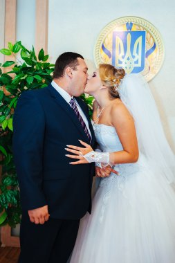 Düğün töreni. Kayıt ofisi. Bir yeni evli çift evlilik belgesi imzalar. Genç çift düğün belgelerin imzalanması