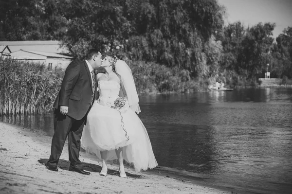 Loving wedding couple walking and kissing near water — Stock Photo, Image