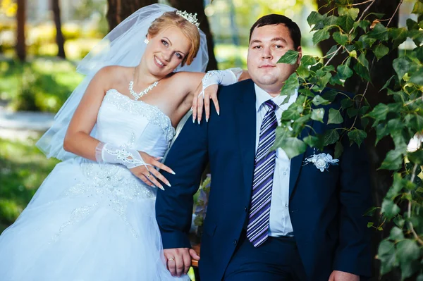 Noiva e noivo no dia do casamento andando ao ar livre na natureza de primavera. Casal nupcial, mulher recém-casada feliz e homem abraçando no parque verde. Casal de amor ao ar livre — Fotografia de Stock