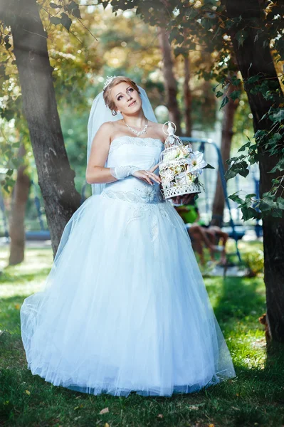 Hermosa novia posando al aire libre en el parque en su día de boda —  Fotos de Stock