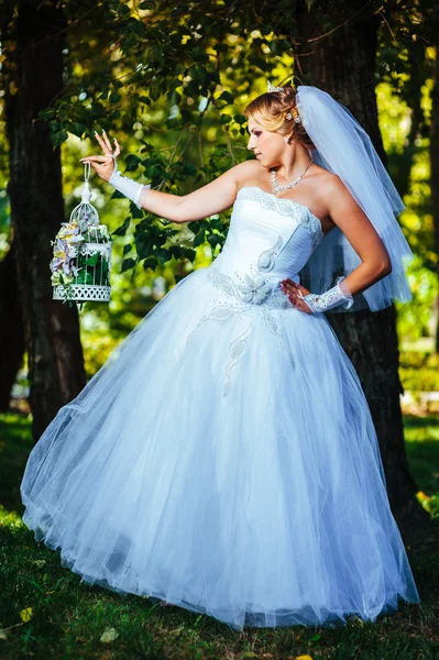 Hermosa novia posando al aire libre en el parque en su día de boda —  Fotos de Stock