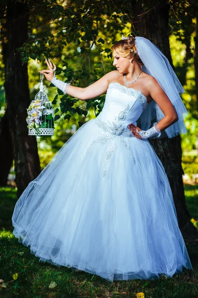 Bela noiva posando ao ar livre no parque em seu dia do casamento — Fotografia de Stock