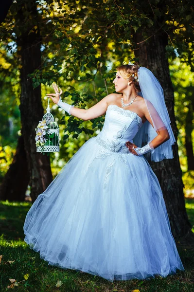 Bela noiva posando ao ar livre no parque em seu dia do casamento — Fotografia de Stock