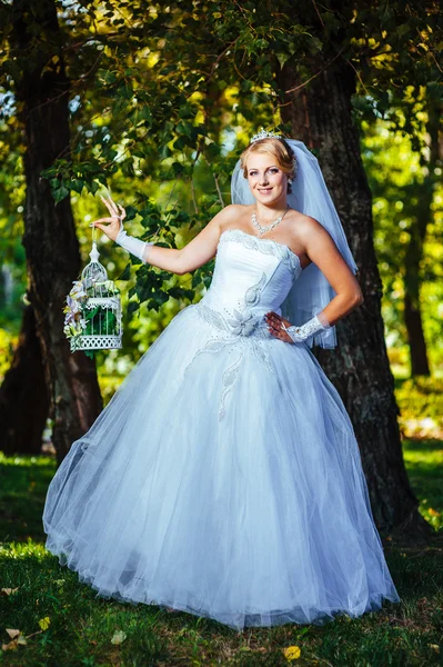 Hermosa novia posando al aire libre en el parque en su día de boda —  Fotos de Stock