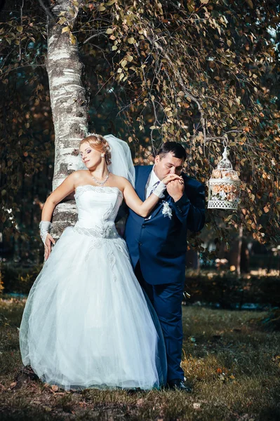 Gelin ve damat gün açık havada yürüyüş düğününde Doğa bahar. Gelin çift, mutlu yeşil park kucaklayan yeni evliler. — Stok fotoğraf