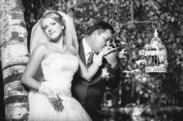 Braut und Bräutigam am Hochzeitstag beim Spaziergang in der Natur des Frühlings. Brautpaar, glückliche Frischvermählte umarmen sich im grünen Park. — Stockfoto