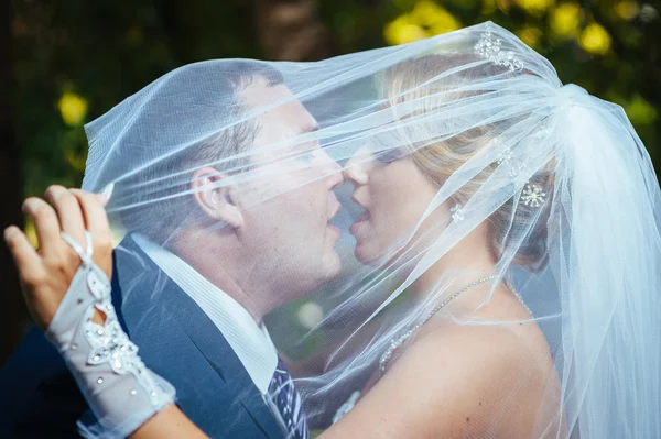 Brudparet kysser under slöja håller blombukett i handen. — Stockfoto