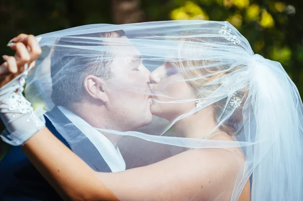 Novia y novio besándose bajo velo sosteniendo ramo de flores en la mano . — Foto de Stock