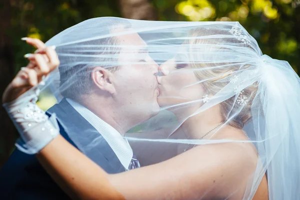 Novia y novio besándose bajo velo sosteniendo ramo de flores en la mano . — Foto de Stock