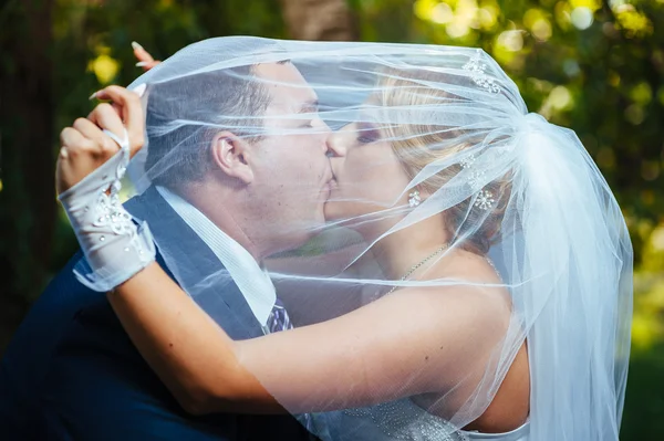 Novia y novio besándose bajo velo sosteniendo ramo de flores en la mano . —  Fotos de Stock