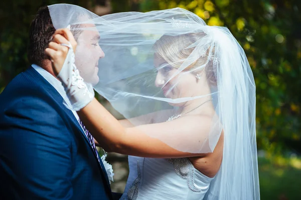 Novia y novio besándose bajo velo sosteniendo ramo de flores en la mano . — Foto de Stock