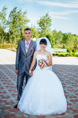 Düğün töreni. Kayıt ofisi. Bir yeni evli çift evlilik belgesi imzalar. Genç çift düğün belgelerin imzalanması.