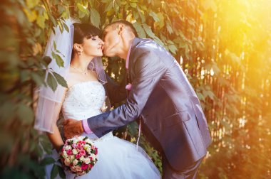 Gelin ve damat, düğün günü açık havada yürüyüş Doğa bahar. mutlu yeni evli kadın ve erkek yeşil park kucaklayan gelin çift. sevgi dolu evlilik çift açık