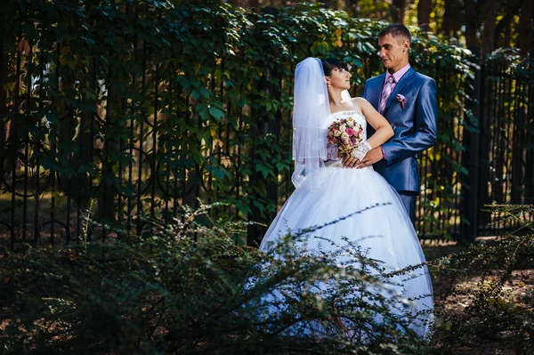 Novia y novio en el día de la boda caminando al aire libre en la naturaleza de primavera. Pareja nupcial, feliz mujer recién casada y hombre abrazándose en el parque verde. Amar pareja de boda al aire libre —  Fotos de Stock