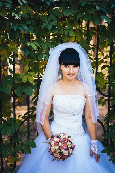 Bela noiva posando em seu dia do casamento — Fotografia de Stock