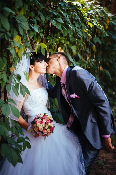 Noiva e noivo no dia do casamento andando ao ar livre na natureza de primavera. Casal nupcial, mulher recém-casada feliz e homem abraçando no parque verde. Casal de amor ao ar livre — Fotografia de Stock