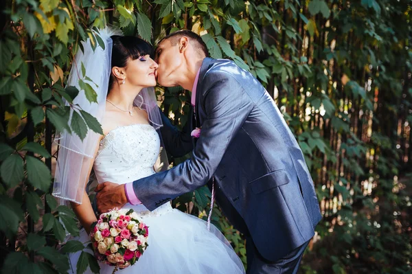 Noiva e noivo no dia do casamento andando ao ar livre na natureza de primavera. Casal nupcial, mulher recém-casada feliz e homem abraçando no parque verde. Casal de amor ao ar livre — Fotografia de Stock