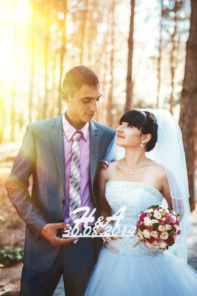 Menyasszony és a vőlegény az esküvő napján a szabadban séta tavasz természet. Nászutas pár, boldog newlywed nő és férfi átfogó zöld parkban. szerető esküvői pár kültéri — Stock Fotó