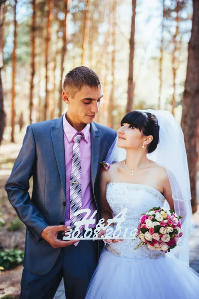 Gelin ve damat, düğün günü açık havada yürüyüş Doğa bahar. mutlu yeni evli kadın ve erkek yeşil park kucaklayan gelin çift. sevgi dolu evlilik çift açık — Stok fotoğraf