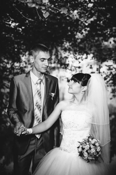 Noiva e noivo no dia do casamento andando ao ar livre na natureza de primavera. Casal nupcial, mulher recém-casada feliz e homem abraçando no parque verde. Casal de amor ao ar livre — Fotografia de Stock