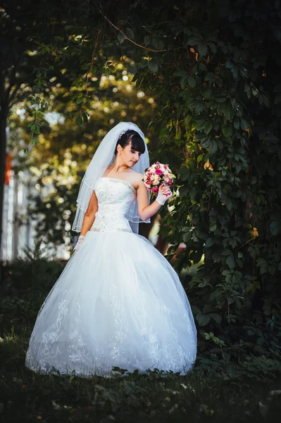 Vacker brud poserar på sin bröllopsdag — Stockfoto