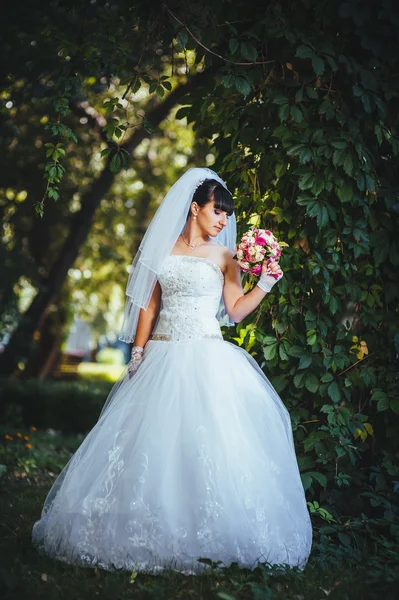 Bella sposa posa nel giorno del suo matrimonio — Foto Stock