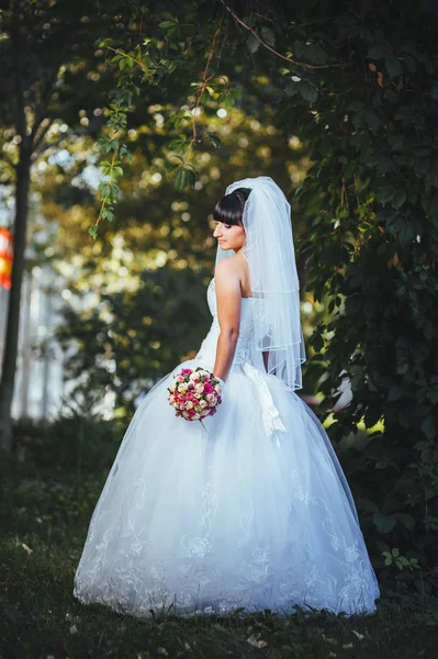 Hermosa novia posando en su día de boda — Foto de Stock