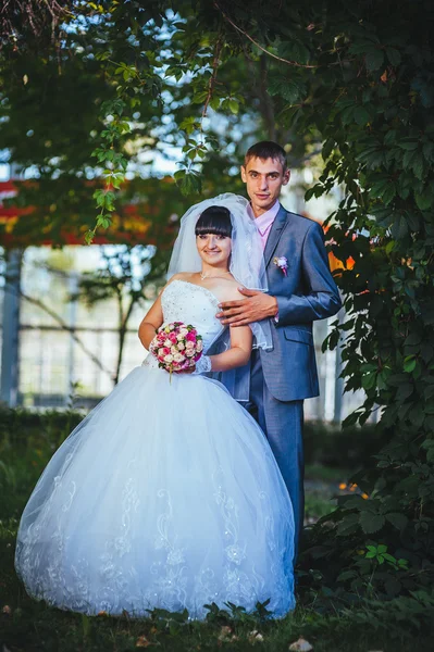 Novia y novio en el día de la boda caminando al aire libre en la naturaleza de primavera. Pareja nupcial, feliz mujer recién casada y hombre abrazándose en el parque verde. Amar pareja de boda al aire libre — Foto de Stock