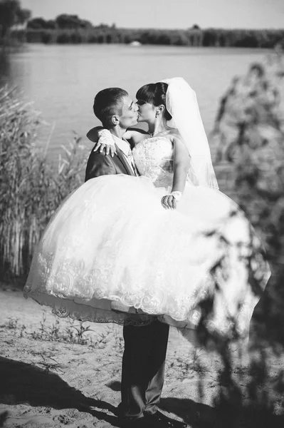 Sposo e Sposo al matrimonio Giorno camminando all'aperto sulla natura primaverile. Coppia di sposi, donna e uomo sposati felici che si abbracciano nel parco verde. Amare coppia di nozze all'aperto — Foto Stock