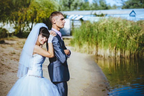 已婚的夫妇在江滩上接吻。新娘新郎夫妇婚礼在江滨上行走户外 — 图库照片