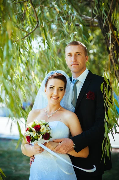 Menyasszony és a vőlegény az esküvő napján a szabadban séta tavasz természet. Nászutas pár, boldog newlywed nő és férfi átfogó zöld parkban. szerető esküvői pár kültéri. — Stock Fotó