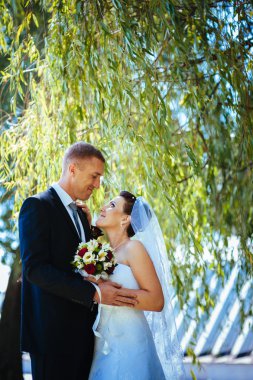 Gelin ve damat, düğün günü açık havada yürüyüş Doğa bahar. mutlu yeni evli kadın ve erkek yeşil park kucaklayan gelin çift. sevgi dolu evlilik çift açık.