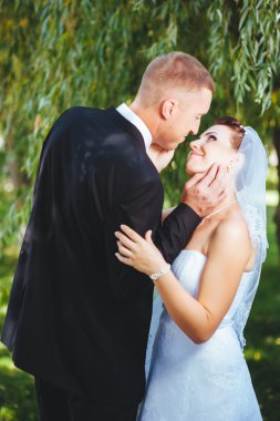 Gelin ve damat, düğün günü açık havada yürüyüş Doğa bahar. mutlu yeni evli kadın ve erkek yeşil park kucaklayan gelin çift. sevgi dolu evlilik çift açık.