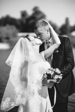 Deniz kenarında bir düğün. Balayı. Gelin ve damat Gölü kıyısına sarılma. damat ve gelin yeşil bir gölde sarılma. Damat ve gelin bir parkta. gelinlik. Gelin düğün buket çiçek.