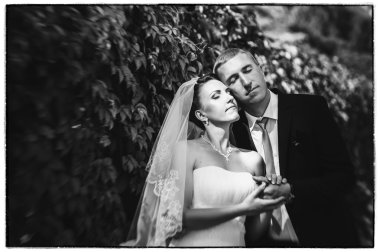 Gelin ve damat, düğün günü açık havada yürüyüş Doğa bahar. mutlu yeni evli kadın ve erkek yeşil park kucaklayan gelin çift. sevgi dolu evlilik çift açık.