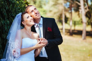 Gelin ve damat, düğün günü açık havada yürüyüş Doğa bahar. mutlu yeni evli kadın ve erkek yeşil park kucaklayan gelin çift. sevgi dolu evlilik çift açık.