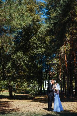 Gelin ve damat, düğün günü açık havada yürüyüş Doğa bahar. mutlu yeni evli kadın ve erkek yeşil park kucaklayan gelin çift. sevgi dolu evlilik çift açık.