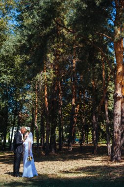 Gelin ve damat, düğün günü açık havada yürüyüş Doğa bahar. mutlu yeni evli kadın ve erkek yeşil park kucaklayan gelin çift. sevgi dolu evlilik çift açık.