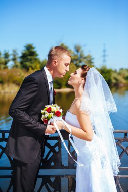 Deniz kenarında bir düğün. Balayı. Gelin ve damat Gölü kıyısına sarılma. damat ve gelin yeşil bir gölde sarılma. Damat ve gelin bir parkta. gelinlik. Gelin düğün buket çiçek.