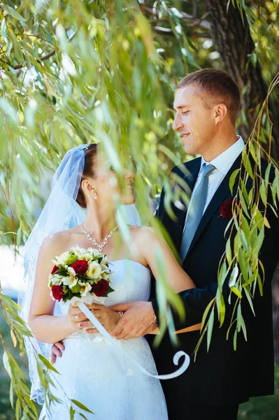 Bride and Groom at wedding Day walking Outdoors on spring nature. Bridal couple, Happy Newlywed woman and man embracing in green park. Loving wedding couple outdoor. — Stock Photo, Image