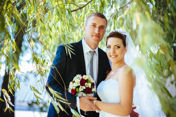 Noiva e noivo no dia do casamento andando ao ar livre na natureza de primavera. Casal nupcial, mulher recém-casada feliz e homem abraçando no parque verde. Casal de amor ao ar livre . — Fotografia de Stock