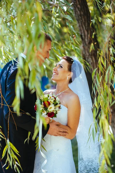 Novia y novio en el día de la boda caminando al aire libre en la naturaleza de primavera. Pareja nupcial, feliz mujer recién casada y hombre abrazándose en el parque verde. Amar pareja de boda al aire libre . —  Fotos de Stock