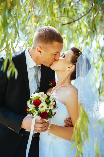 Menyasszony és a vőlegény az esküvő napján a szabadban séta tavasz természet. Nászutas pár, boldog newlywed nő és férfi átfogó zöld parkban. szerető esküvői pár kültéri. — Stock Fotó