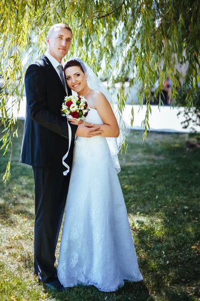 Novia y novio en el día de la boda caminando al aire libre en la naturaleza de primavera. Pareja nupcial, feliz mujer recién casada y hombre abrazándose en el parque verde. Amar pareja de boda al aire libre . — Foto de Stock