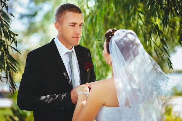 Sposo e Sposo al matrimonio Giorno camminando all'aperto sulla natura primaverile. Coppia di sposi, donna e uomo sposati felici che si abbracciano nel parco verde. Amare coppia di nozze all'aperto . — Foto Stock