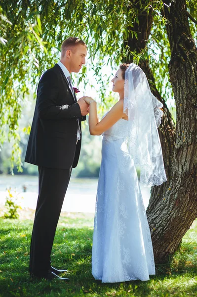 Menyasszony és a vőlegény az esküvő napján a szabadban séta tavasz természet. Nászutas pár, boldog newlywed nő és férfi átfogó zöld parkban. szerető esküvői pár kültéri. — Stock Fotó