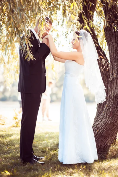 Gelin ve damat, düğün günü açık havada yürüyüş Doğa bahar. mutlu yeni evli kadın ve erkek yeşil park kucaklayan gelin çift. sevgi dolu evlilik çift açık. — Stok fotoğraf