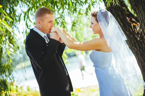 Novia y novio en el día de la boda caminando al aire libre en la naturaleza de primavera. Pareja nupcial, feliz mujer recién casada y hombre abrazándose en el parque verde. Amar pareja de boda al aire libre . — Foto de Stock