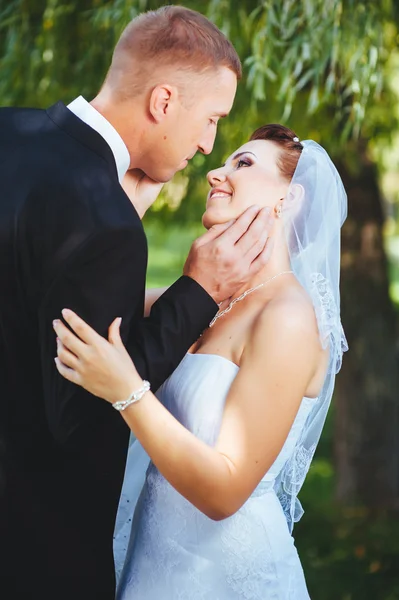 Sposo e Sposo al matrimonio Giorno camminando all'aperto sulla natura primaverile. Coppia di sposi, donna e uomo sposati felici che si abbracciano nel parco verde. Amare coppia di nozze all'aperto . — Foto Stock